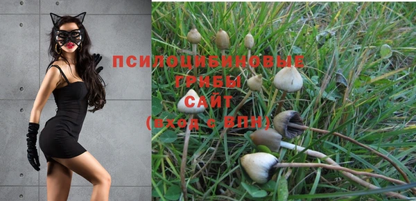 прущий лед Заводоуковск