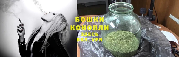 прущий лед Заводоуковск