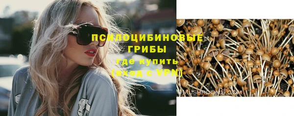 прущий лед Заводоуковск