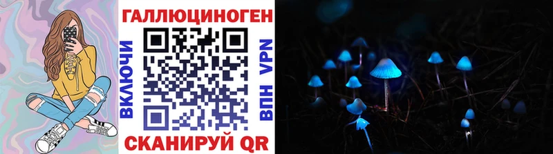 Купить где  Лаишево  Псилоцибиновые грибы мицелий 